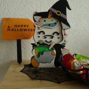 Costume Sorcière pour veilleuse Licorne