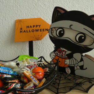 Costume Ninja pour veilleuse Chat