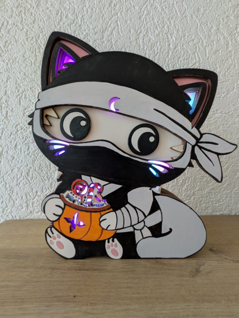 Costume Chat Ninja Halloween