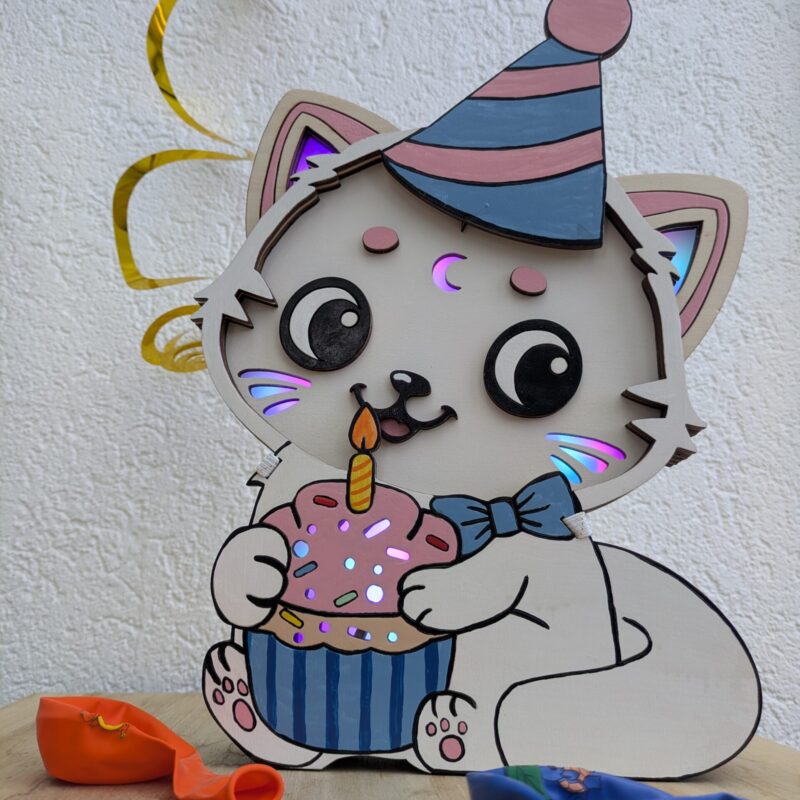 Costume Anniversaire pour veilleuse Chat